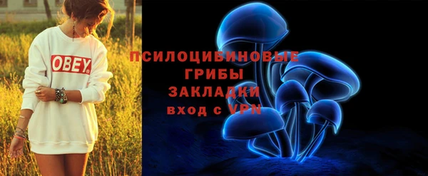 стаф Нея