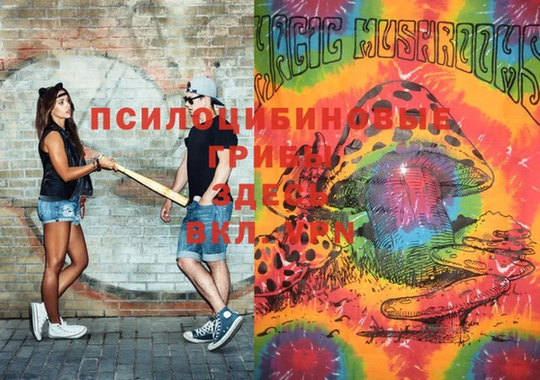 метадон Абаза