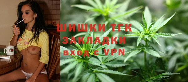 стаф Нея